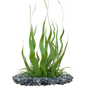 seaweed 10 3D model