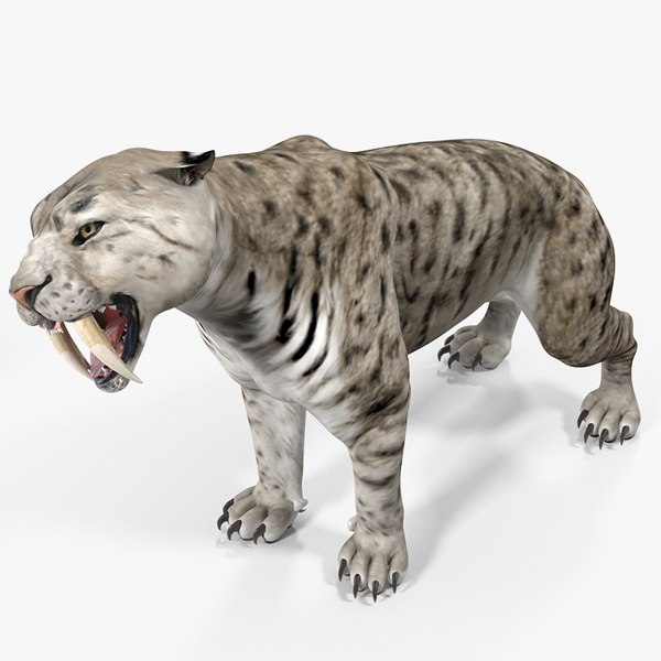 3D model saber tooth tiger rigged - TurboSquid 1379333