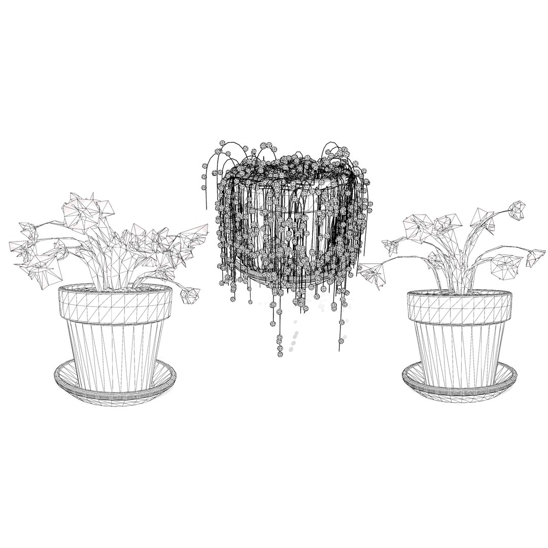 3D Schlumbergera Cactus Plant https://p.turbosquid.com/ts-thumb/lG/Ac24z7/6u/wire/jpg/1725791363/1920x1080/fit_q87/38873439f3e8216e3fda6bca643dd99723de85d4/wire.jpg