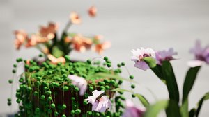 3D Schlumbergera Cactus Plant