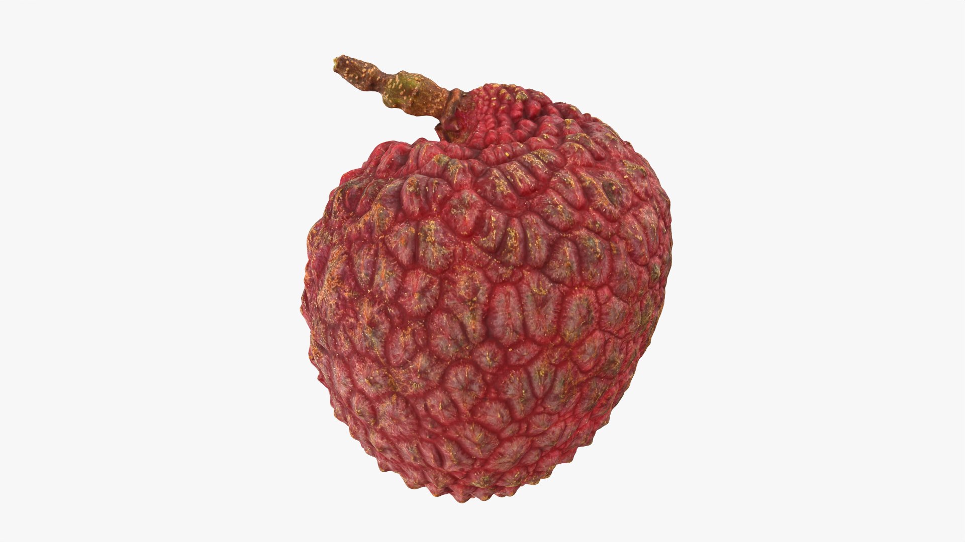 Lychee 03 3D model https://p.turbosquid.com/ts-thumb/lG/Ibki5A/1E/lychee03_0004/png/1758808701/1920x1080/fit_q87/6f3b9e4277e9de39cd010c7bbeabc9e24b1cccd9/lychee03_0004.jpg