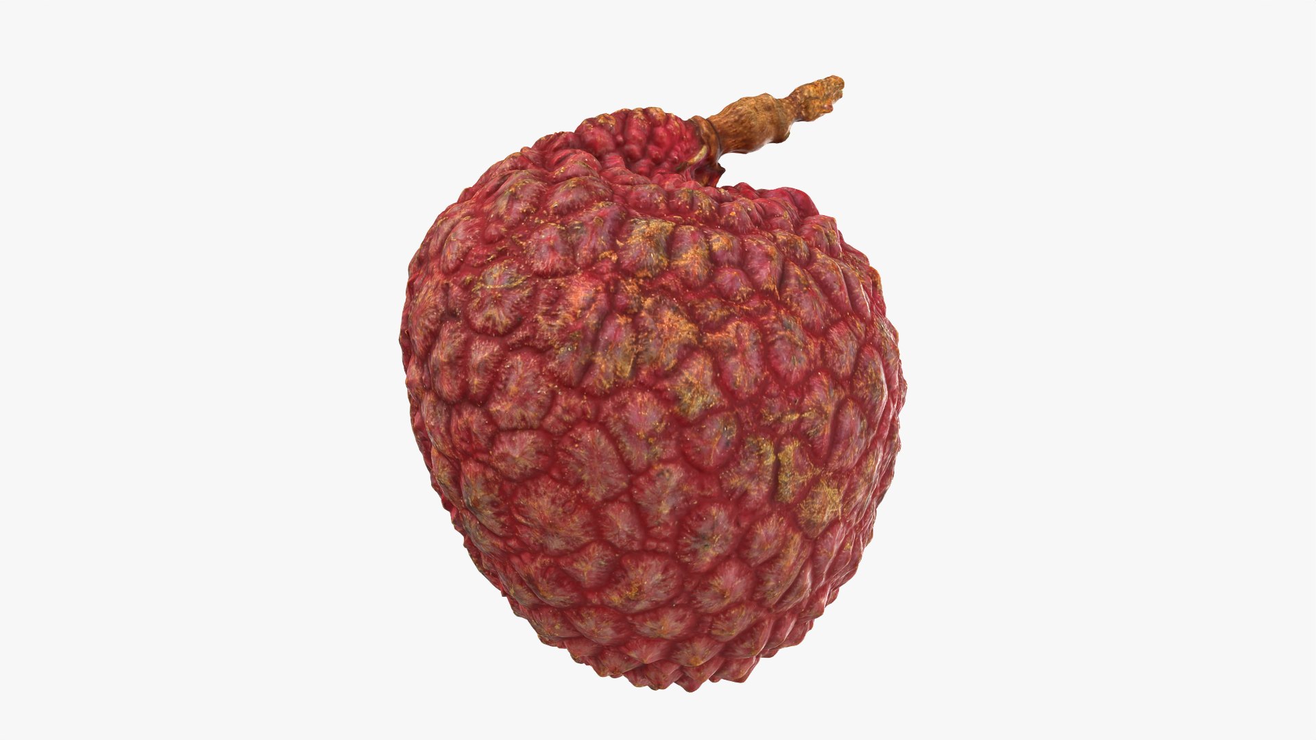 Lychee 03 3D model https://p.turbosquid.com/ts-thumb/lG/Ibki5A/9B/lychee03_0006/png/1758808693/1920x1080/fit_q87/5cd718ea25e97fe9a8fe566405af98e808a65785/lychee03_0006.jpg