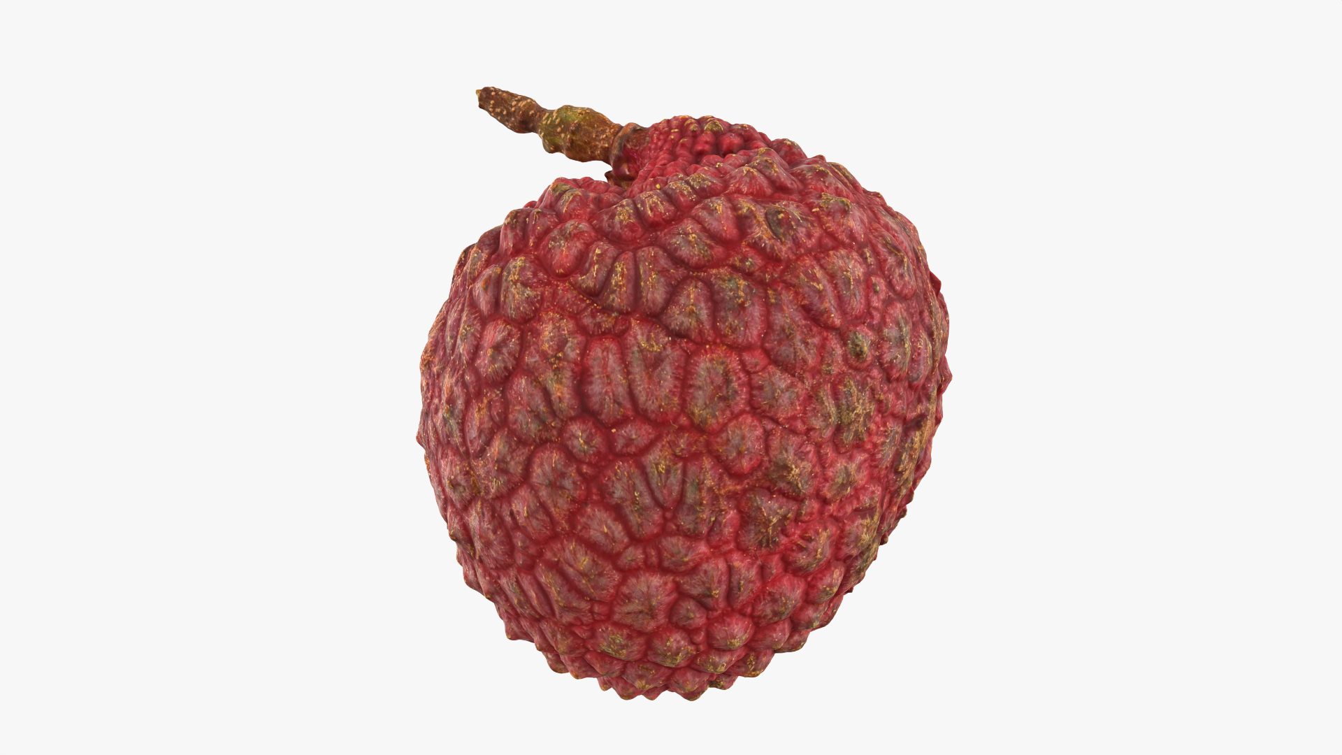 Lychee 03 3D model https://p.turbosquid.com/ts-thumb/lG/Ibki5A/Bk/lychee03/png/1759039048/1920x1080/turn_fit_q99/530e0a31568574c3090302af6b1d8a4ff2f3e23c/lychee03-1.jpg