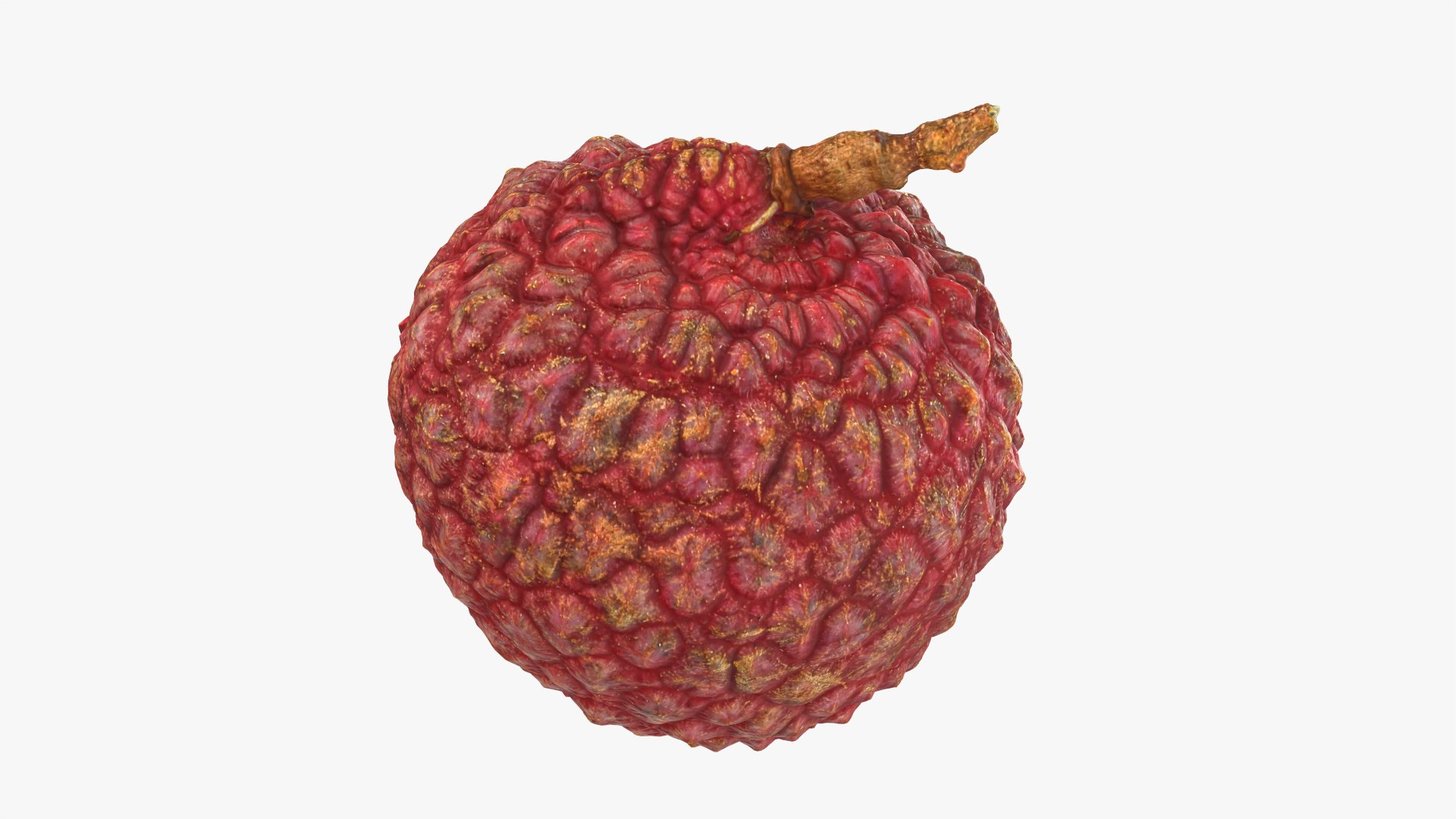 Lychee 03 3D model https://p.turbosquid.com/ts-thumb/lG/Ibki5A/DX/lychee03_0003/png/1758808684/1920x1080/fit_q87/c2c4cc8761e21adbabcb9ebfd1c9440b9cca102a/lychee03_0003.jpg