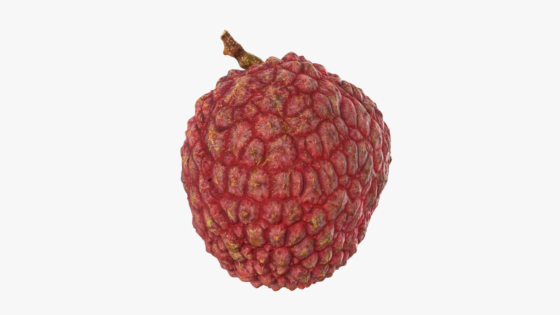 Lychee 03 3D model https://p.turbosquid.com/ts-thumb/lG/Ibki5A/Hh/lychee03_0008/png/1758808704/1920x1080/fit_q87/c8a55ae419853cec37c3c66237cce5b4e711b68e/lychee03_0008.jpg