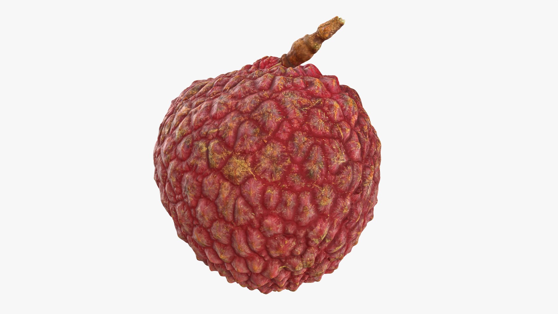 Lychee 03 3D model https://p.turbosquid.com/ts-thumb/lG/Ibki5A/Xp/lychee03_0011/png/1758808752/1920x1080/fit_q87/be56e9a07dfe9298120d82c5f00a9027ce1cc49f/lychee03_0011.jpg