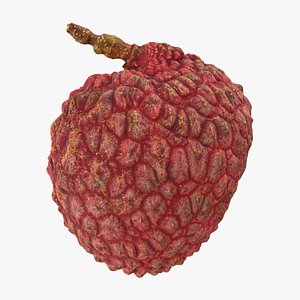 Lychee 03 3D model