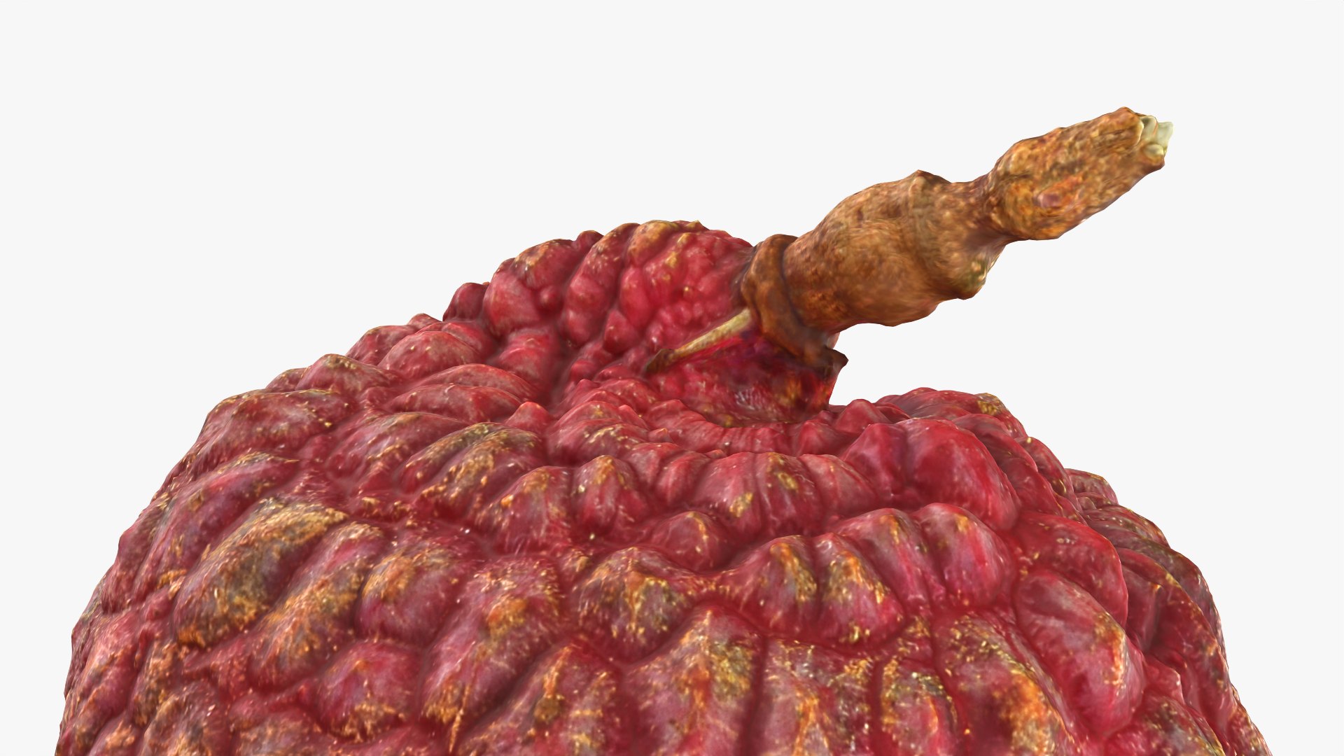 Lychee 03 3D model https://p.turbosquid.com/ts-thumb/lG/Ibki5A/l6/lychee03_0012/png/1758808752/1920x1080/fit_q87/38e93e9e4d10a011b761995a5759f37eaf7ac0db/lychee03_0012.jpg