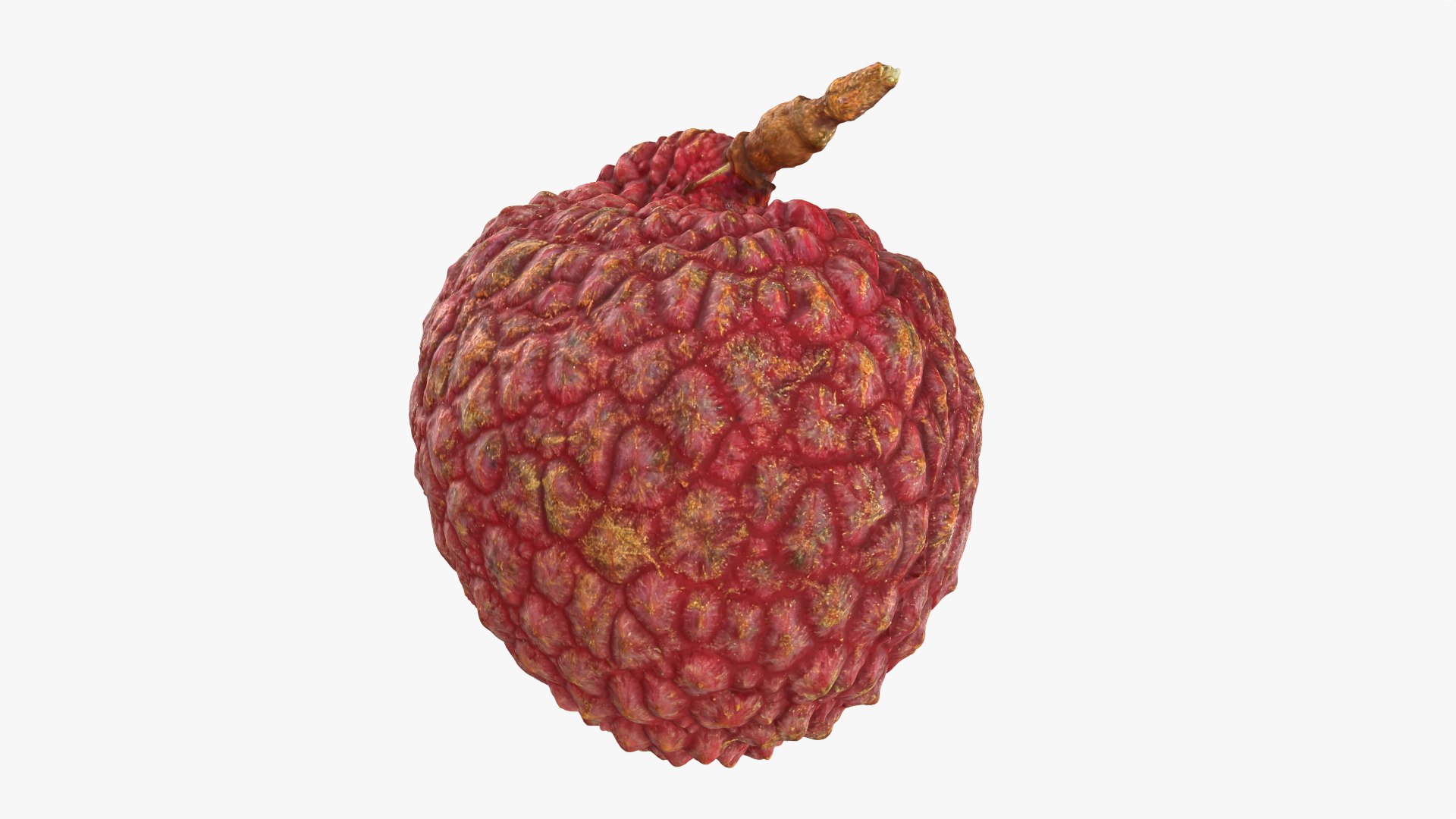 3D Fruits Collection 3 model https://p.turbosquid.com/ts-thumb/lG/Ibki5A/yO/lychee03_0001/png/1787406139/1920x1080/fit_q87/e80fc643d3c79748522c767297980b13a85c6e12/lychee03_0001.jpg