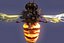 bee wing 3d model