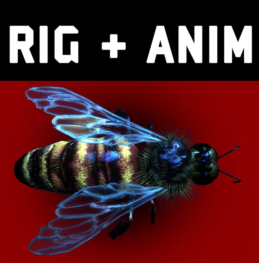 bee wing 3d model https://p.turbosquid.com/ts-thumb/lG/NiglSJ/4hGLNKfT/title/jpg/1271284779/1920x1080/fit_q87/654864a488df107a82f1b52b8d81fdd15d363378/title.jpg