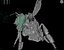 bee wing 3d model