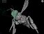 bee wing 3d model