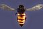 bee wing 3d model