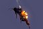 bee wing 3d model