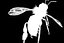 bee wing 3d model