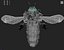 bee wing 3d model