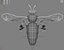 bee wing 3d model