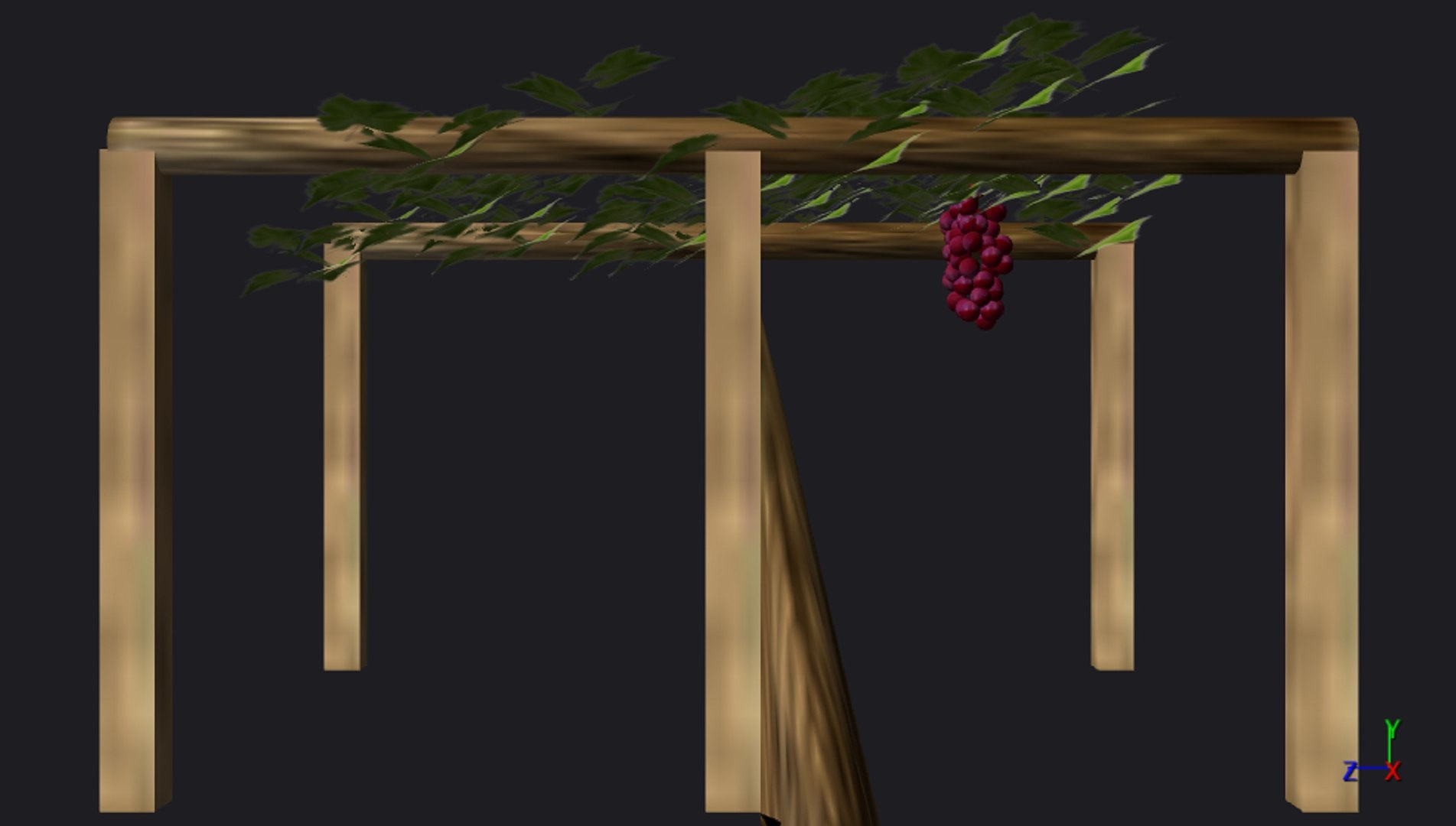 grapes tree 3d model