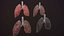lung of smoking animation respiratory organ medicine Low-poly 3D model