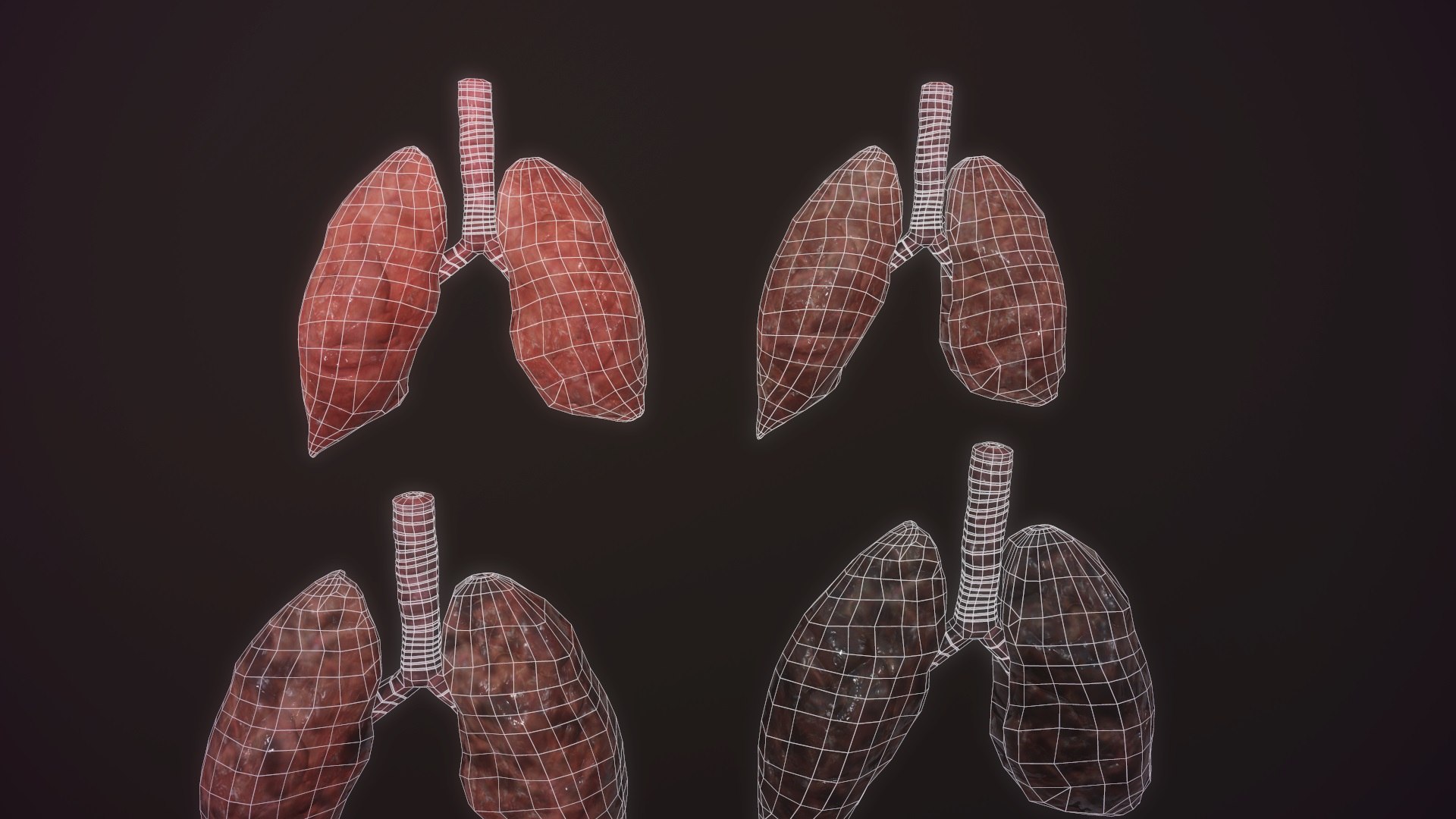 3D model animation medical https://p.turbosquid.com/ts-thumb/lG/TyaA5G/4aKShg6R/screenshot032/jpg/1572664199/1920x1080/fit_q87/e295108e0538fa82af13b8b8f788e308ac824816/screenshot032.jpg