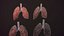 lung of smoking animation respiratory organ medicine Low-poly 3D model