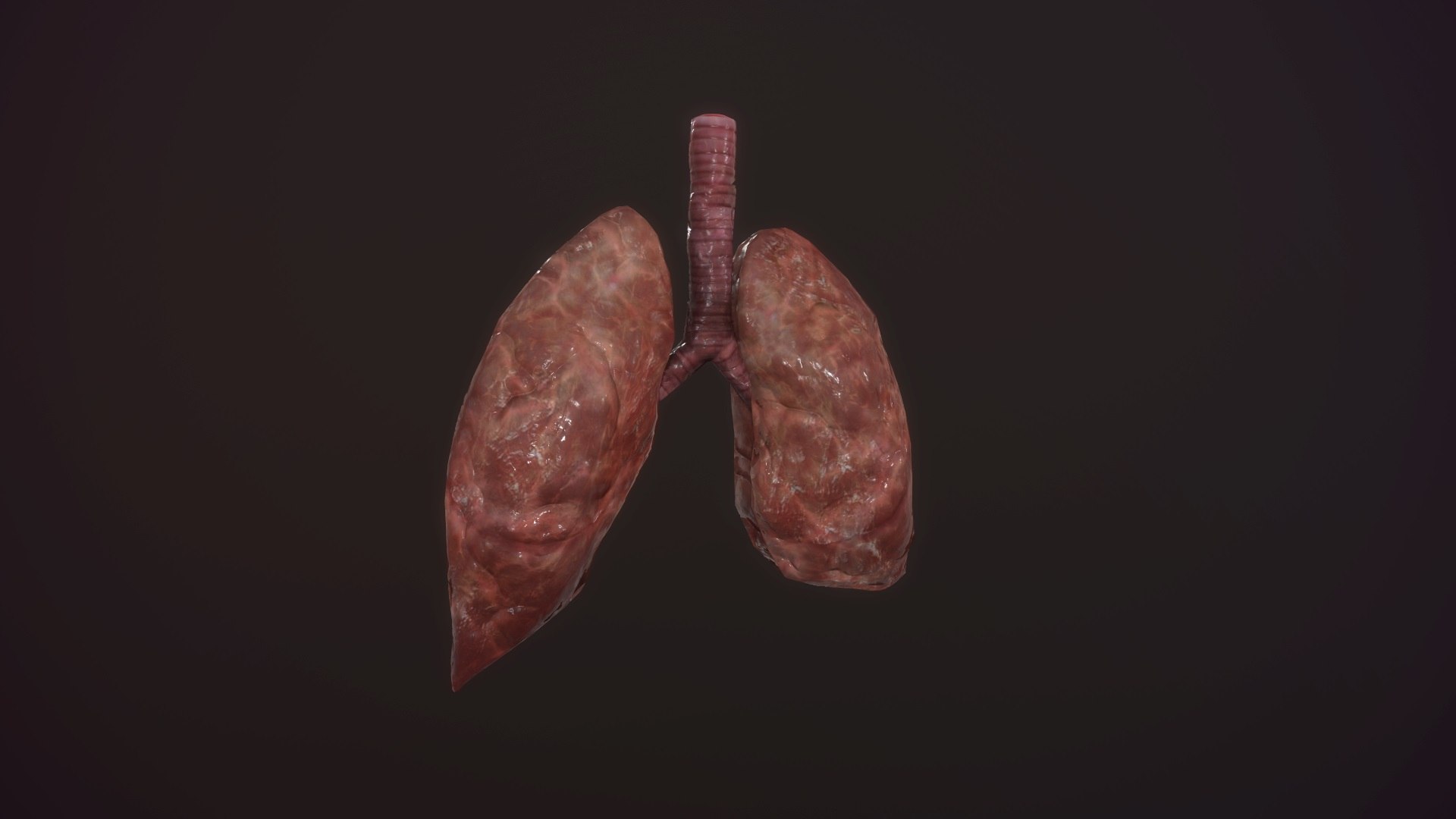 3D model animation medical https://p.turbosquid.com/ts-thumb/lG/TyaA5G/5DVEqO00/screenshot023/jpg/1572664199/1920x1080/fit_q87/147d6b105978e8d8ab9386afec5a42a7f1ebea19/screenshot023.jpg