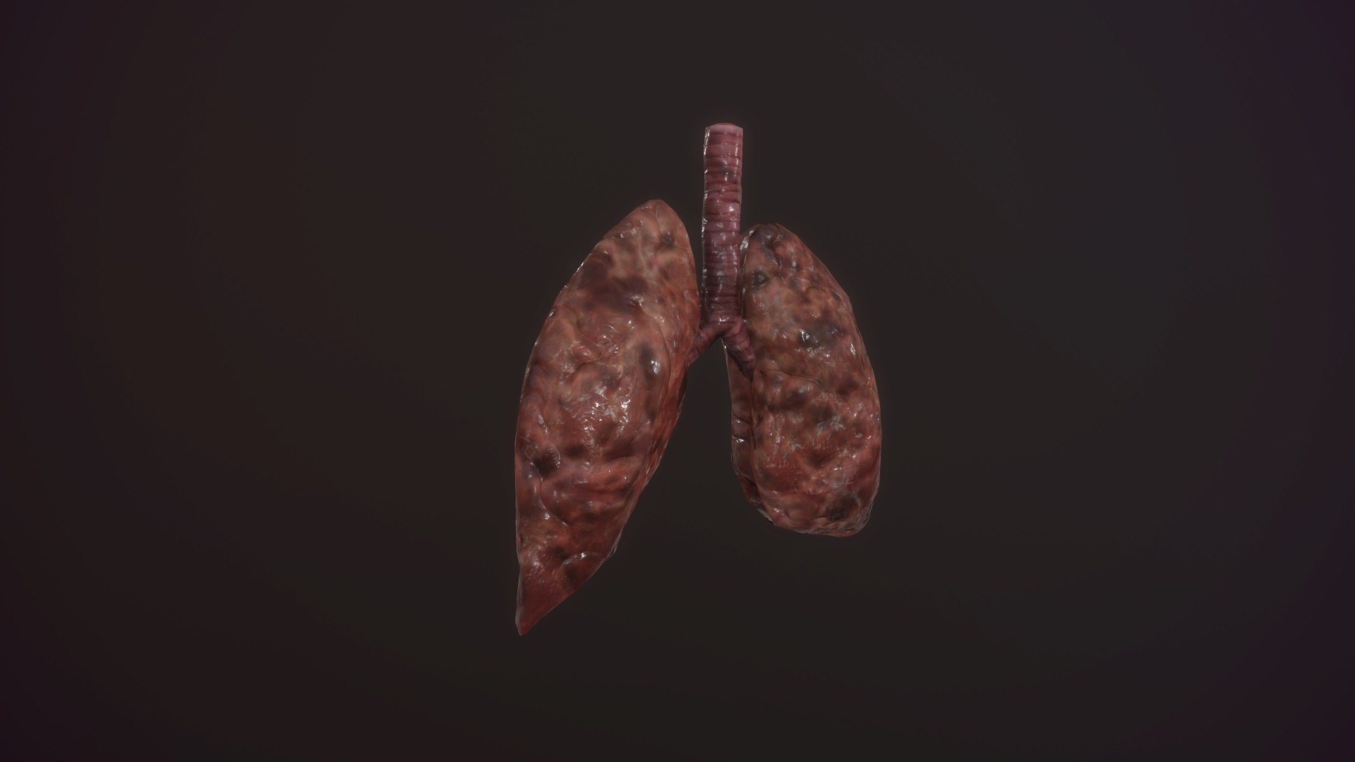 3D model animation medical https://p.turbosquid.com/ts-thumb/lG/TyaA5G/Q55hz2p3/screenshot025/jpg/1572664199/1920x1080/fit_q87/4af9469f7c5eafa5e22dab14f0949914f97654a6/screenshot025.jpg