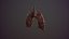 lung of smoking animation respiratory organ medicine Low-poly 3D model