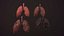 lung of smoking animation respiratory organ medicine Low-poly 3D model