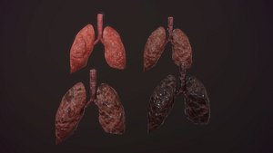 lung of smoking animation respiratory organ medicine Low-poly 3D model