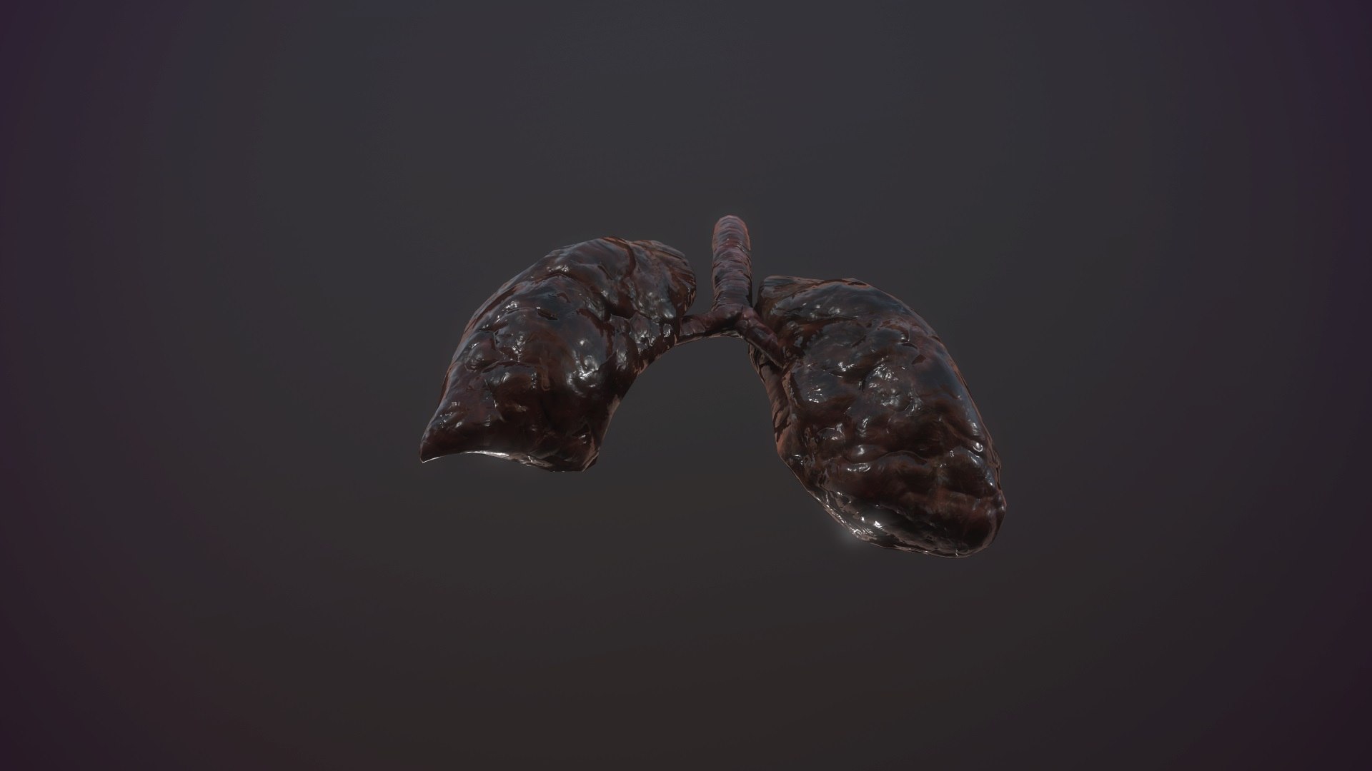 3D model animation medical https://p.turbosquid.com/ts-thumb/lG/TyaA5G/elmptV8z/screenshot028/jpg/1572664199/1920x1080/fit_q87/236be95bdf8d4f23eb611419b6f065602940b8b7/screenshot028.jpg