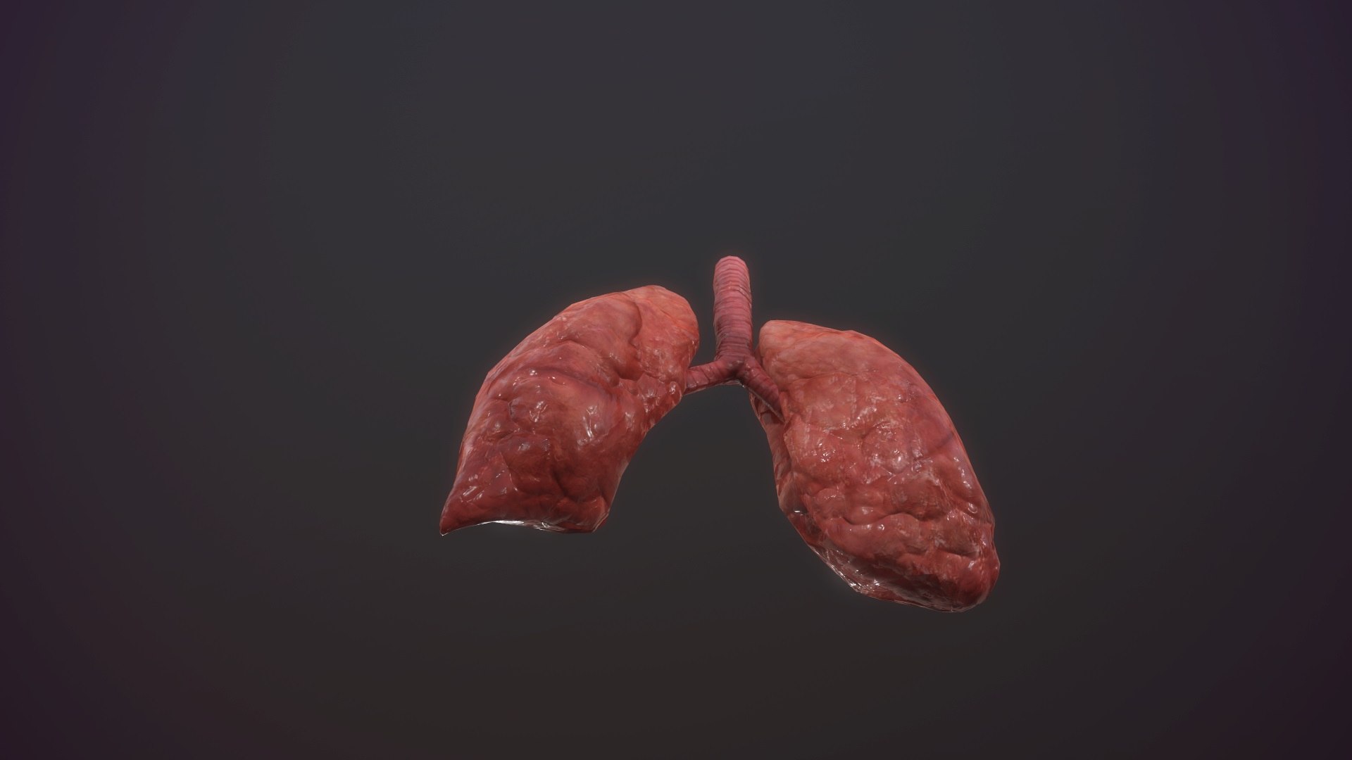 3D model animation medical https://p.turbosquid.com/ts-thumb/lG/TyaA5G/gUGNUSuN/screenshot022/jpg/1572664199/1920x1080/fit_q87/06e300a3b0719282d74c7e27b2945350b3de38f8/screenshot022.jpg