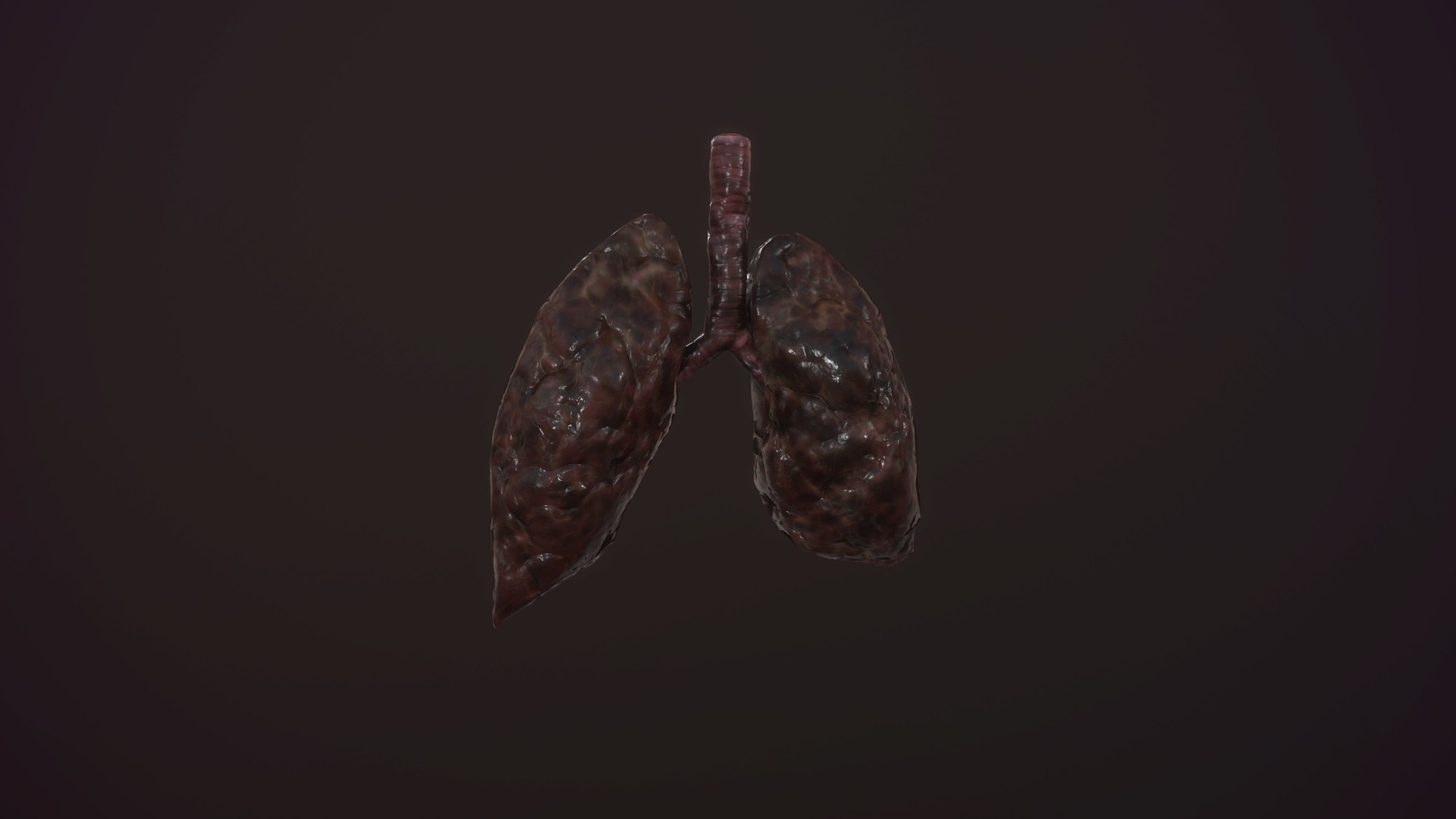 3D model animation medical https://p.turbosquid.com/ts-thumb/lG/TyaA5G/lz1Z7vBD/screenshot027/jpg/1572664199/1920x1080/fit_q87/15896c877faa5985a8803d82d1c9ea69305d8aab/screenshot027.jpg