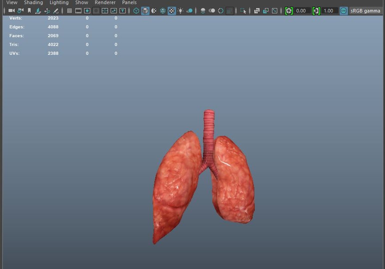 3D model animation medical https://p.turbosquid.com/ts-thumb/lG/TyaA5G/p67gSwZb/faces/jpg/1572664199/1920x1080/fit_q87/6362fde431d17bcc94c6e1a7cb66c1b8b90fee6d/faces.jpg