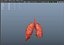 lung of smoking animation respiratory organ medicine Low-poly 3D model