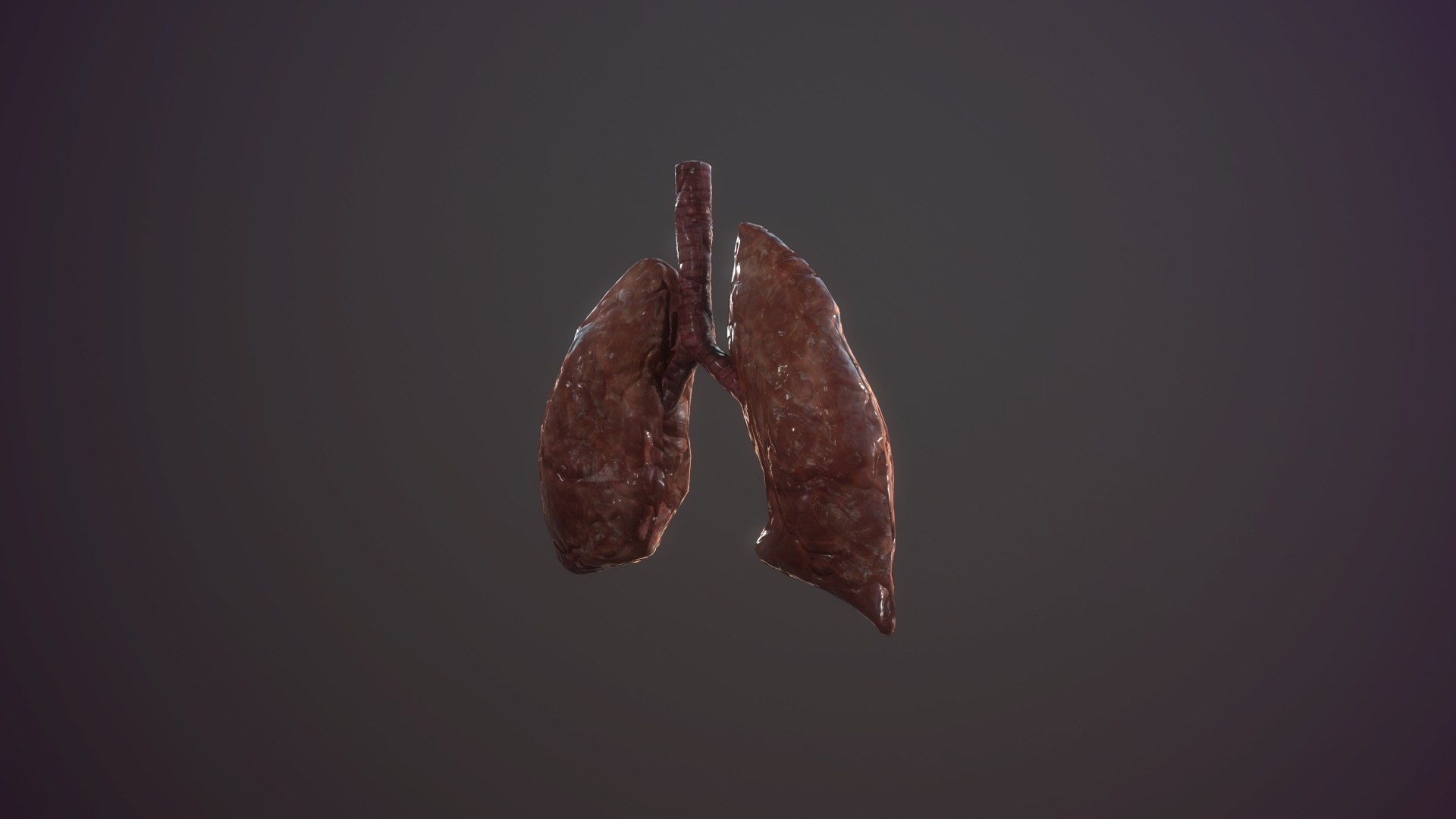 3D model animation medical https://p.turbosquid.com/ts-thumb/lG/TyaA5G/yP53eIst/screenshot024/jpg/1572664199/1920x1080/fit_q87/18fc49f6df8ade59f794df4cd21f3a11918281a6/screenshot024.jpg