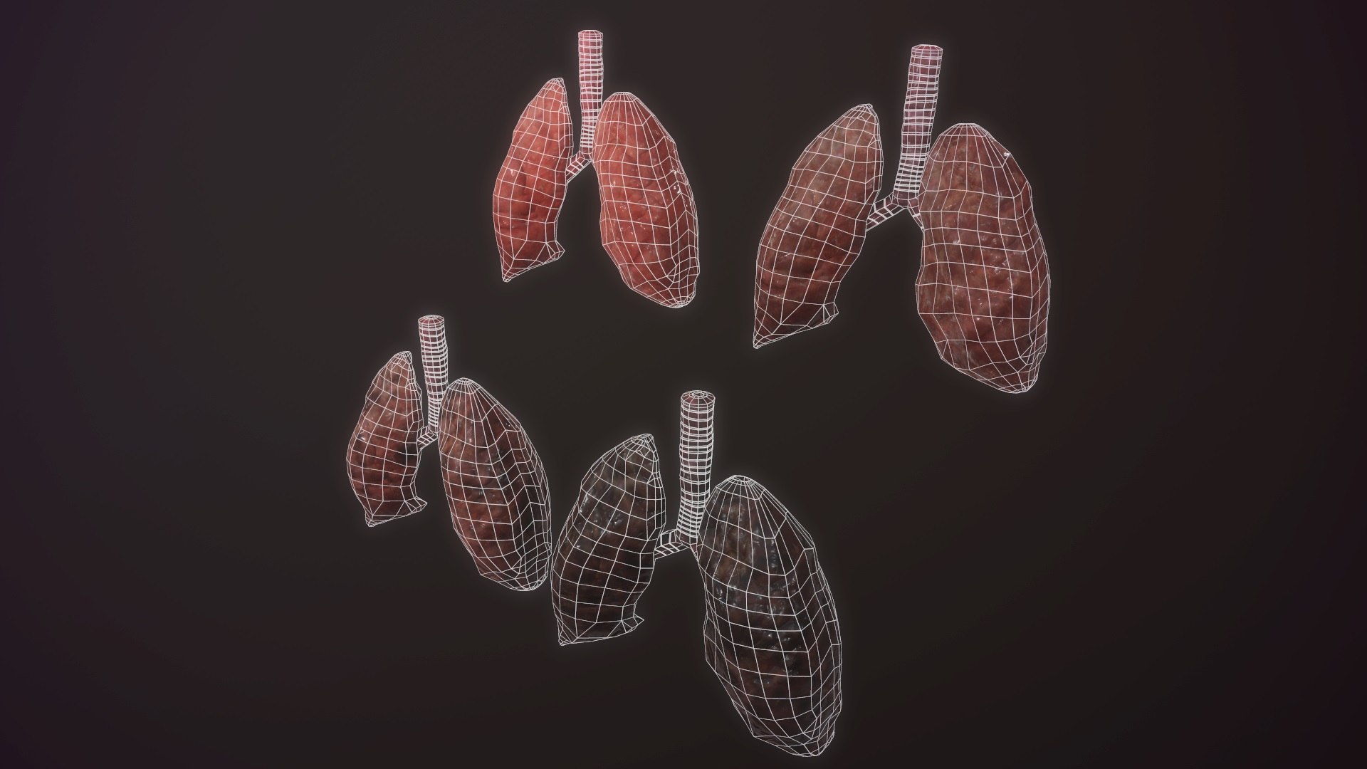 3D model animation medical https://p.turbosquid.com/ts-thumb/lG/TyaA5G/zP1tlu0z/screenshot031/jpg/1572664199/1920x1080/fit_q87/d16a24f7798882defe91cb037610ecae71b34d96/screenshot031.jpg