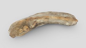 CC0 - Dead Wood 2 3D model