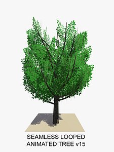 Animated Tree v15