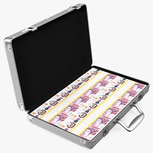 3D model Suitcase Full of Pounds