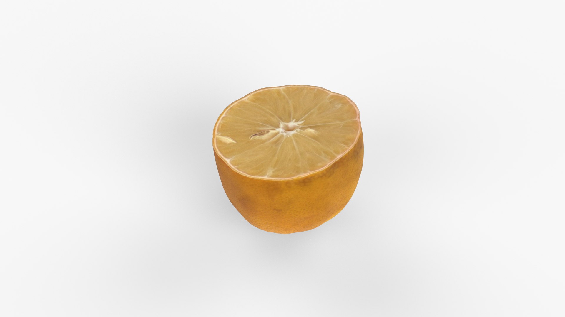 3D Photorealistic 3D scan of half a Lemon model https://p.turbosquid.com/ts-thumb/lG/o4B0Z9/Ap/view_060001/jpg/1734377675/1920x1080/fit_q87/caf9824b21d7e79ea8a3d628e4182267493120cd/view_060001.jpg