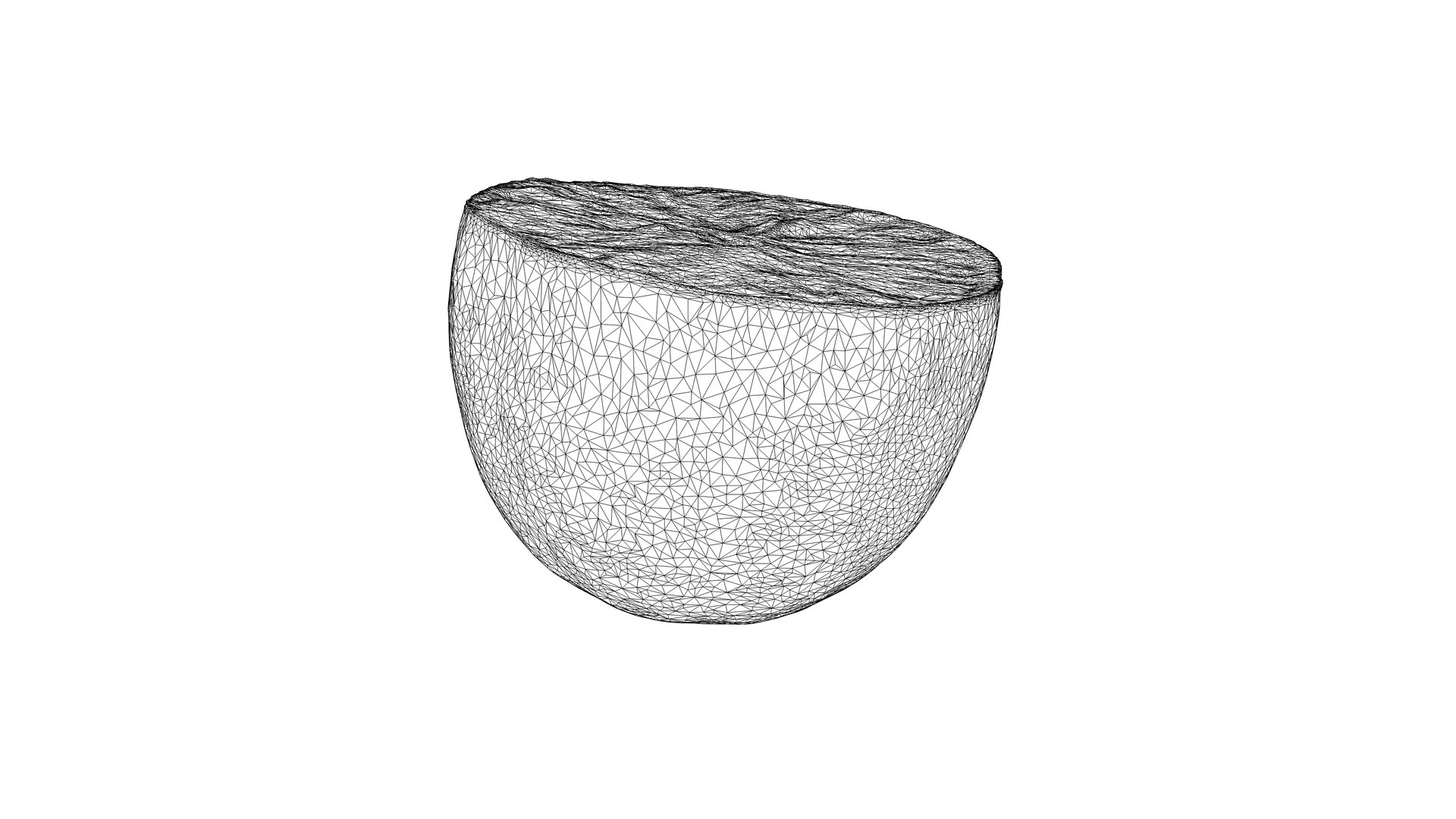 3D Photorealistic 3D scan of half a Lemon model https://p.turbosquid.com/ts-thumb/lG/o4B0Z9/Wa/08/jpg/1736797518/1920x1080/fit_q87/32c05bcd18f3029f3bdac6f2ce114c817e5854aa/08.jpg