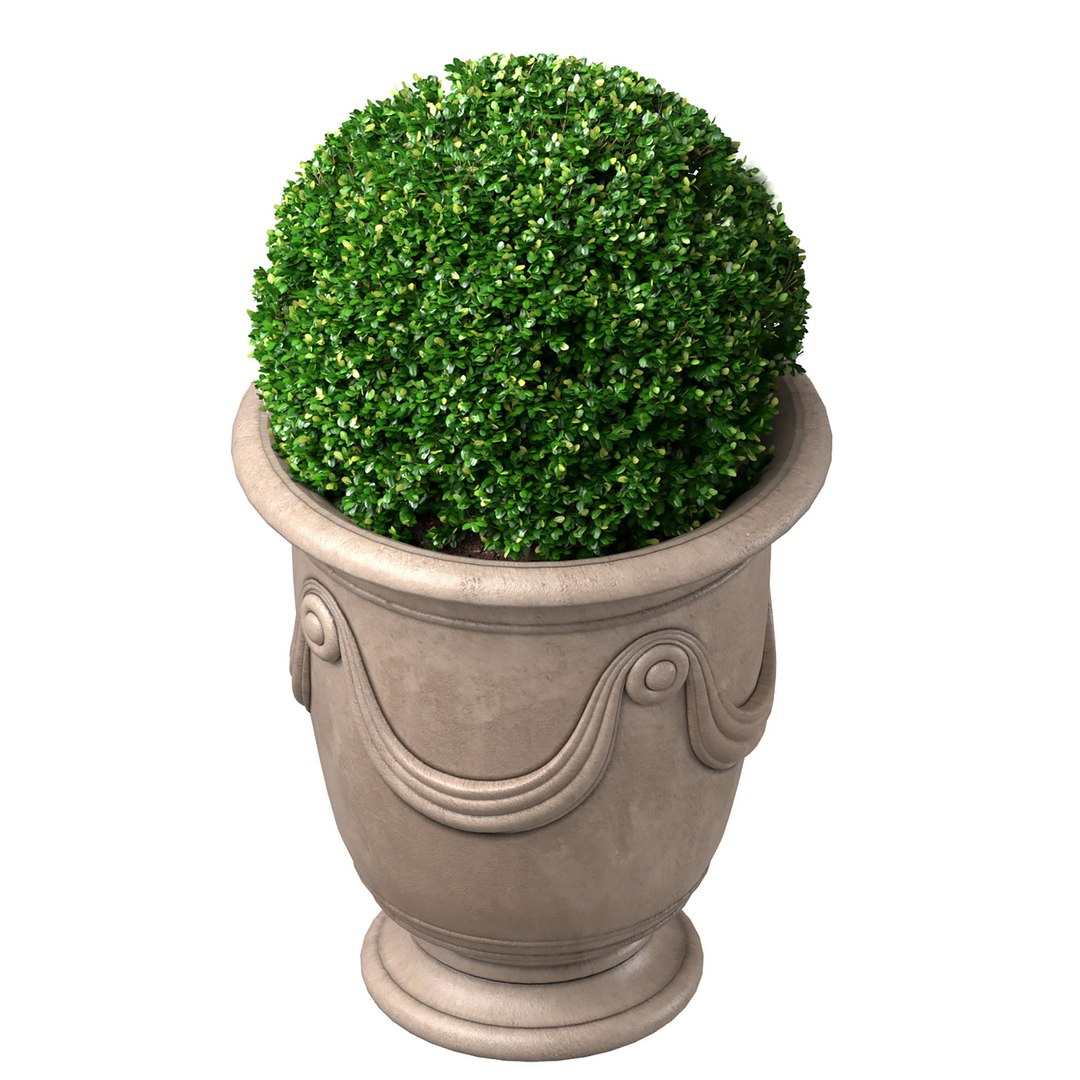 3D Boxwood In A Classic French Pot Front Entry Tree Patio Porch ...