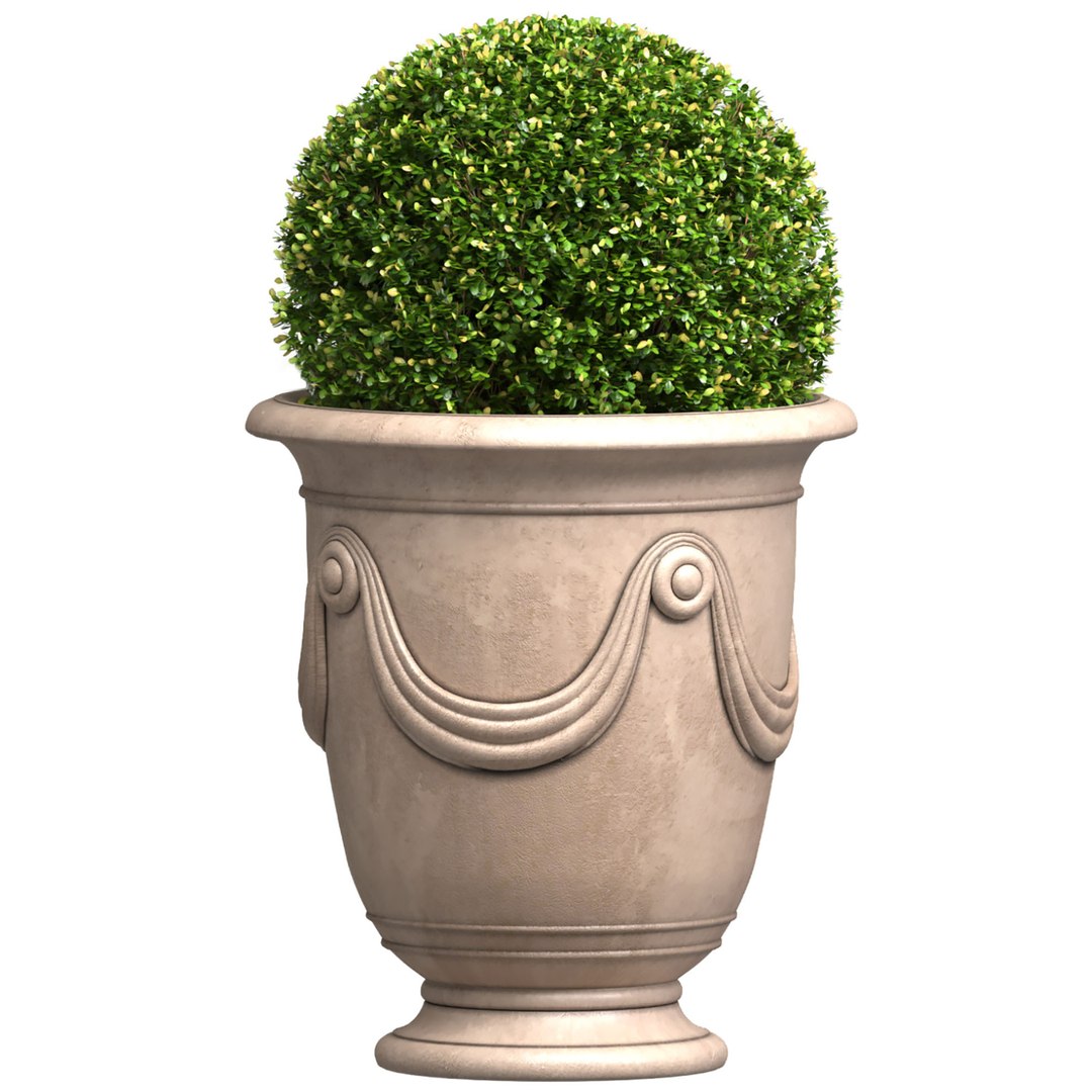 3D Boxwood In A Classic French Pot Front Entry Tree Patio Porch ...