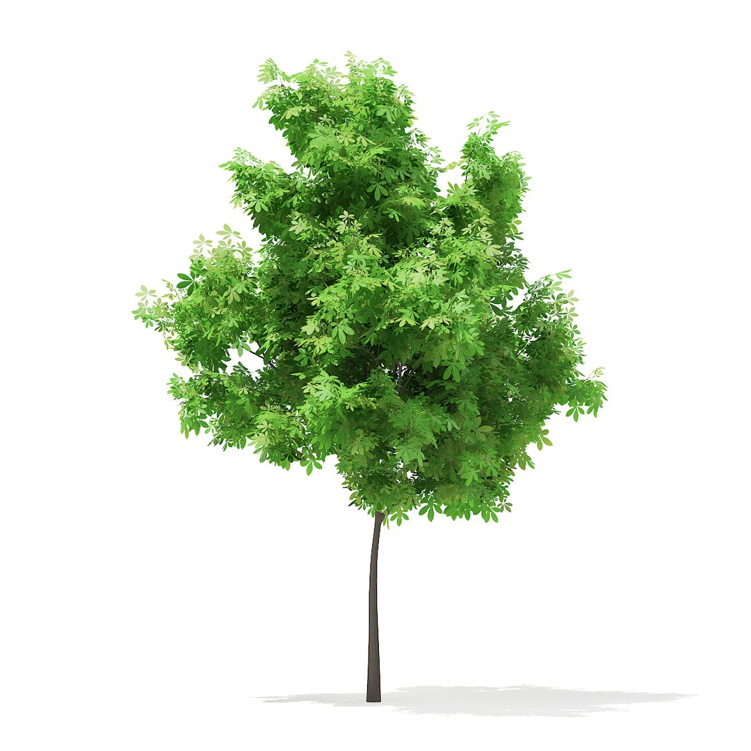 volume 67 - trees 3d obj