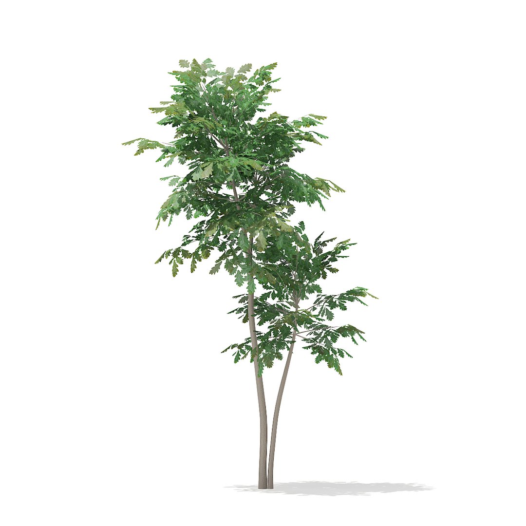 volume 67 - trees 3d obj
