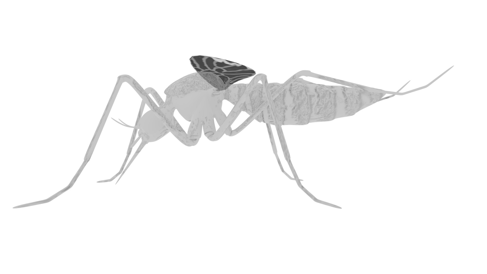 How To Draw A Realistic Mosquito, Step by Step, Drawing Guide, by  finalprodigy - DragoArt