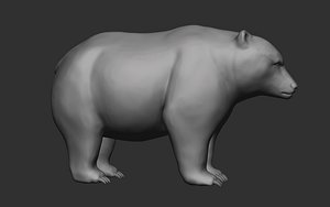 3D Bear base mesh model