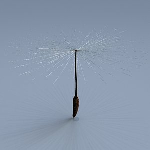 3d giant dandylion seed